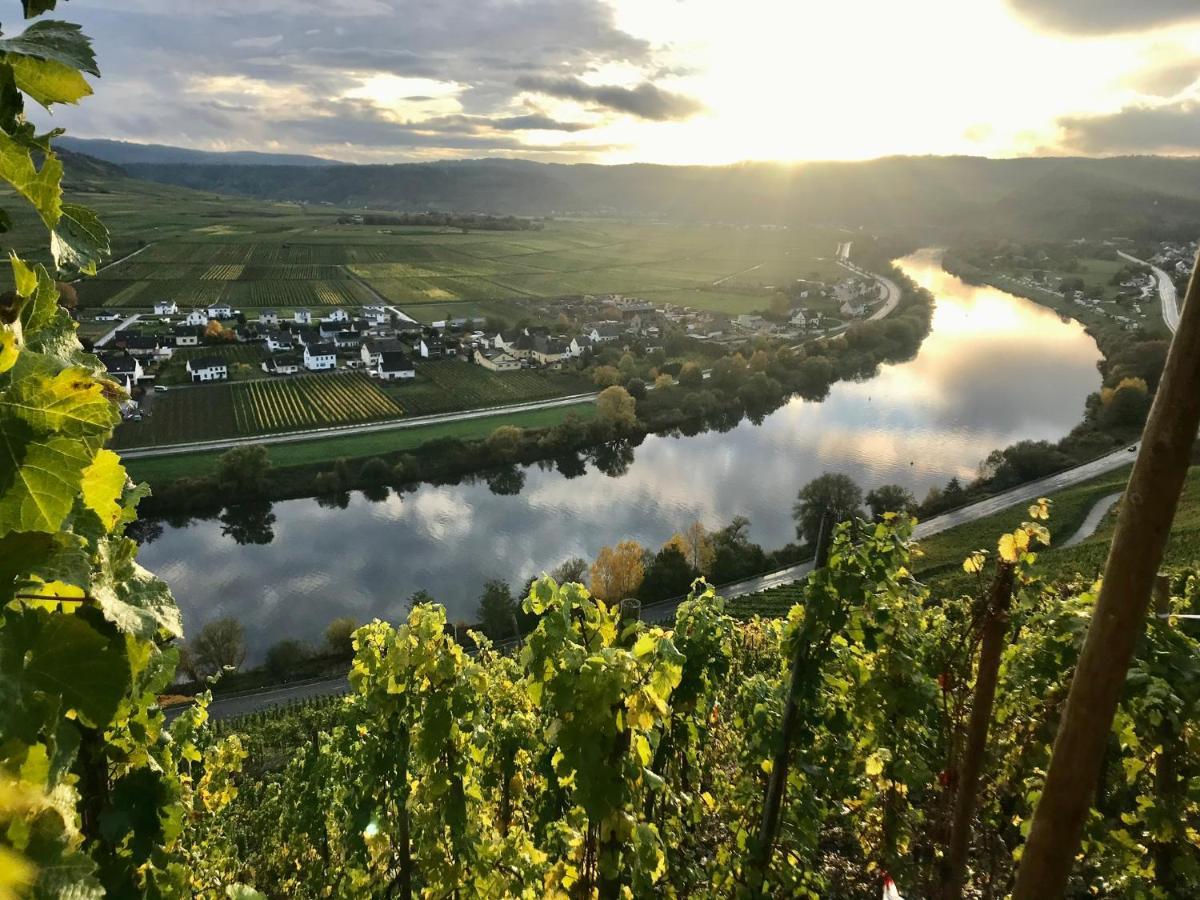 Апартаменты Weinlofts An Der Mosel Mit E10 Ladestation Kowerich Экстерьер фото