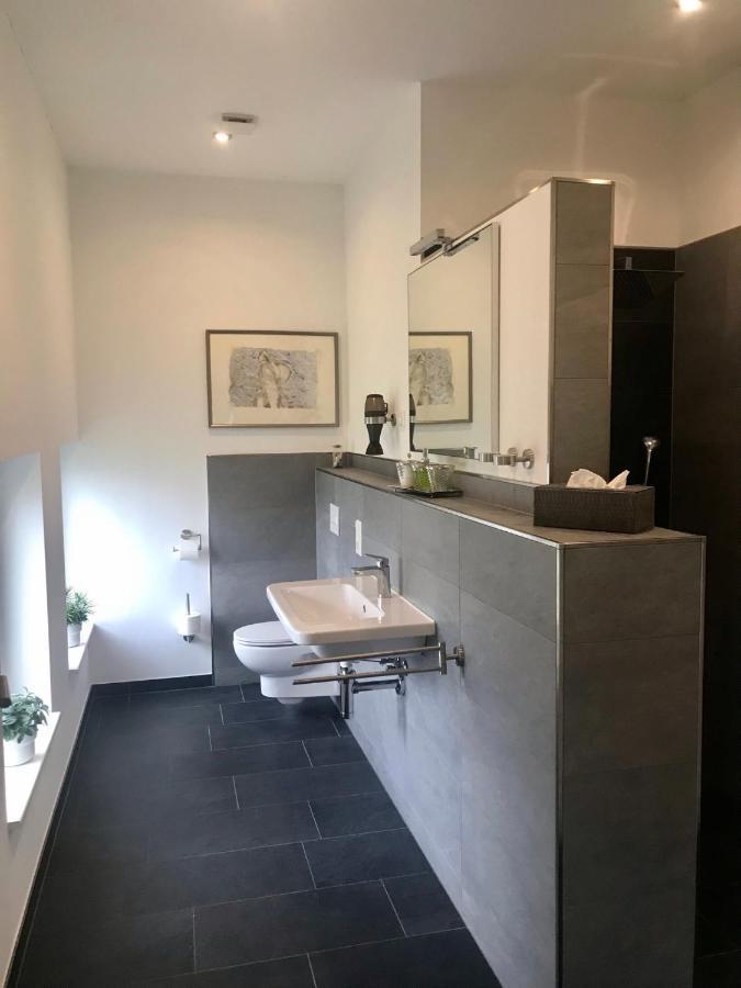 Апартаменты Weinlofts An Der Mosel Mit E10 Ladestation Kowerich Экстерьер фото